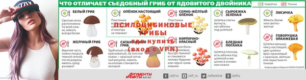 дурь Богданович